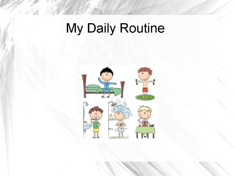 My Daily Routine